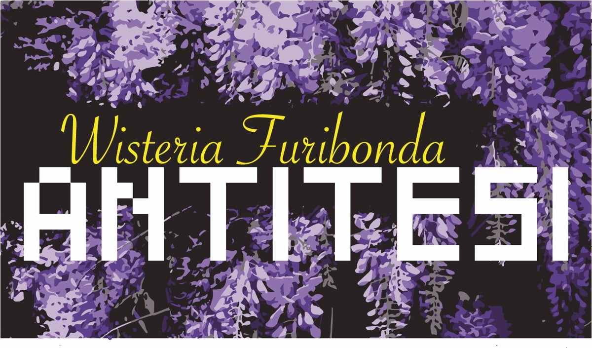 Wisteria Furibonda e il Nuovo Abitare